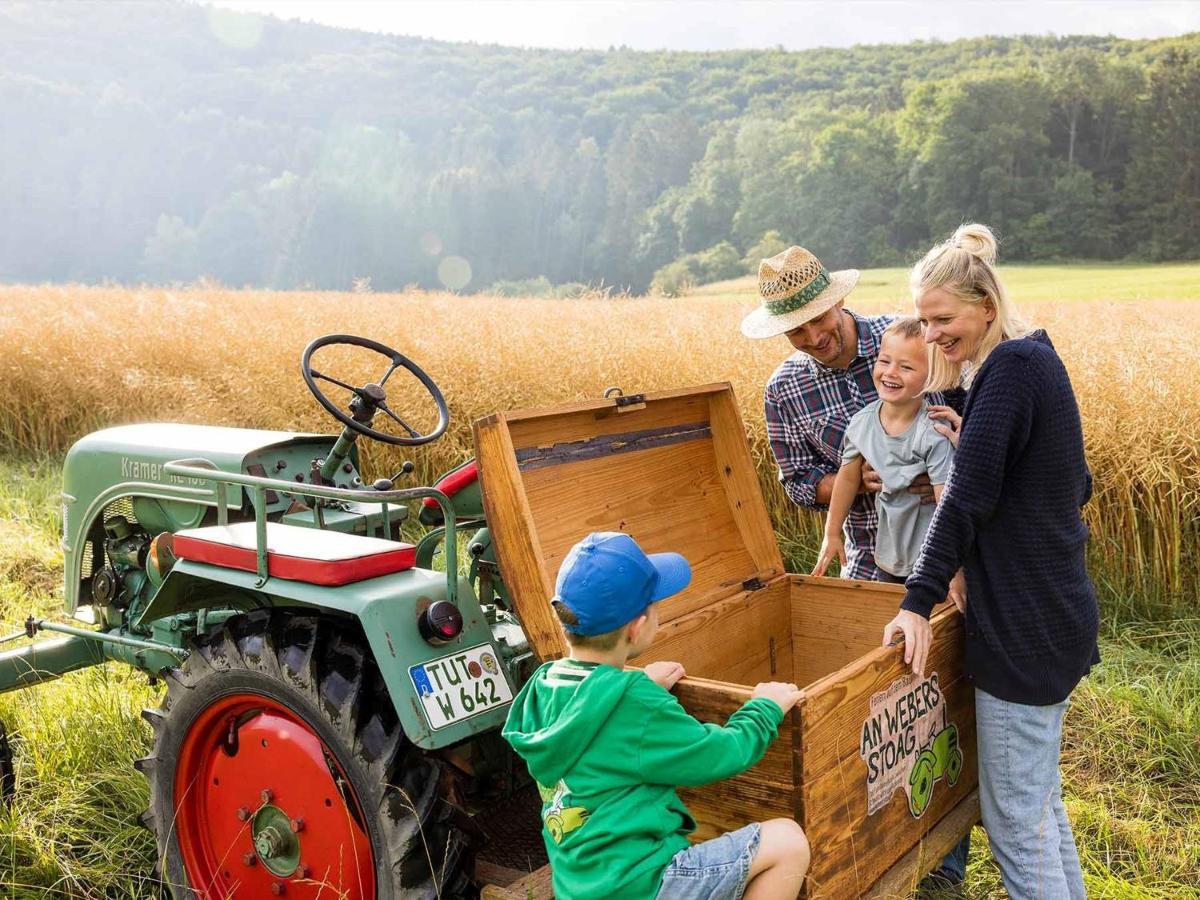 Vila An Webers Stoag Geisingen Exteriér fotografie