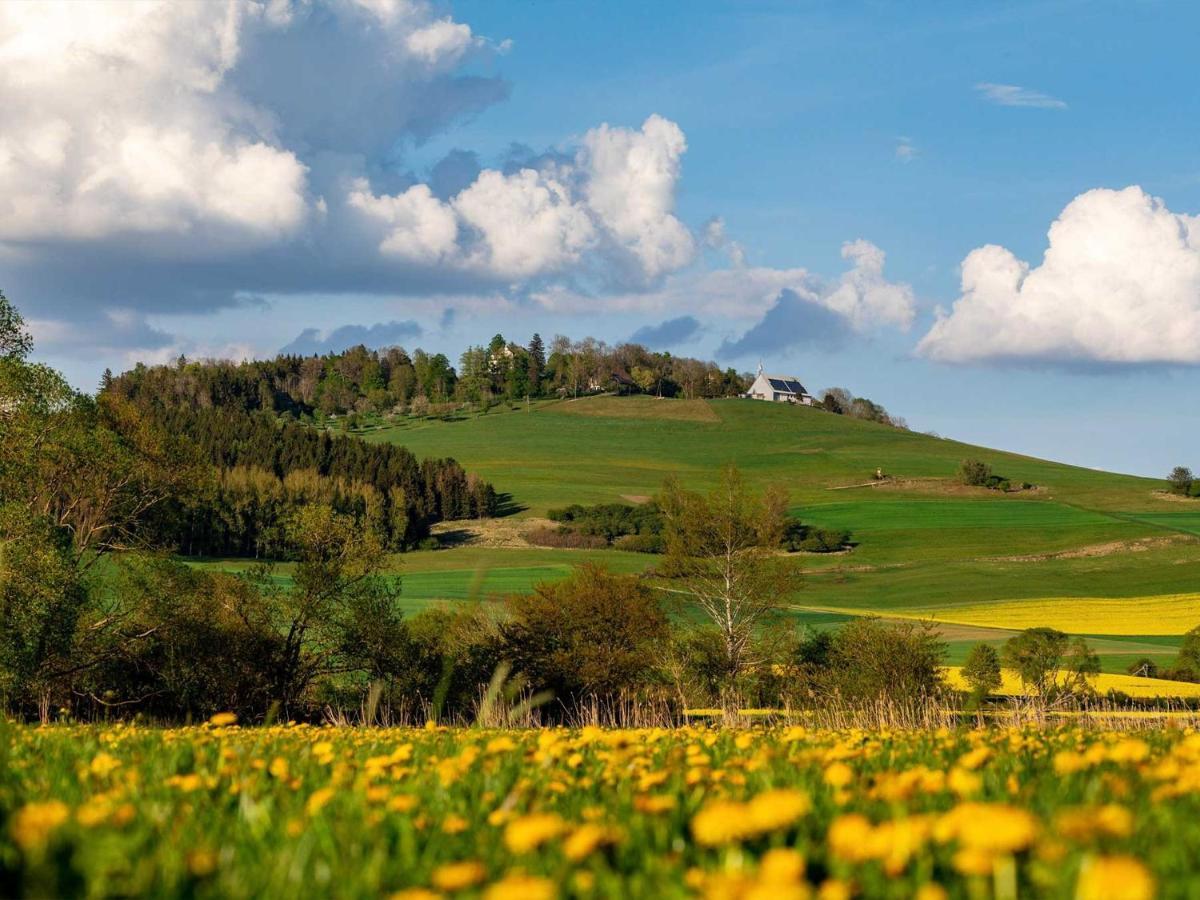 Vila An Webers Stoag Geisingen Exteriér fotografie